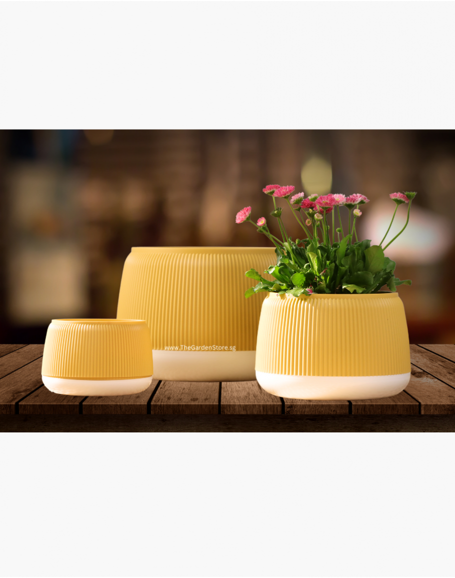 SelfWatering Pot (Ø20/14.7 x 17cm) Square Cup